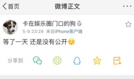 吃瓜爆料聚集怎么办,揭秘吃瓜爆料聚集背后的真相与影响